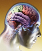 Concussão cerebral