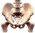 Estágio em Cirurgia de Quadril